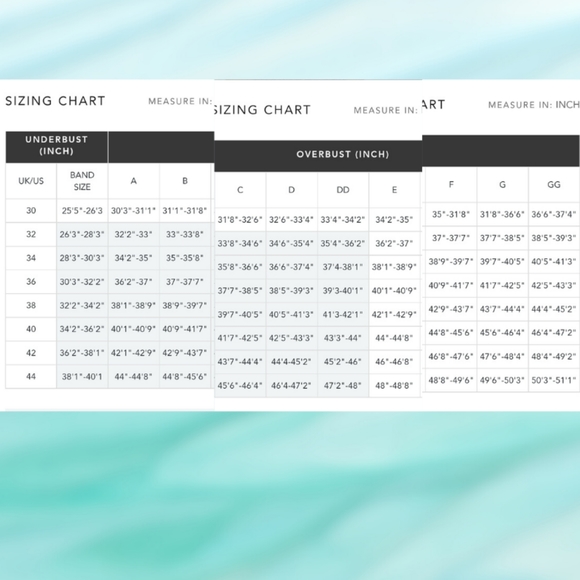 💜FREDERICK'S OF HOLLYWOOD 💜Daphne Embroidered Full Figure Bra- Black/Gold - Picture 4 of 8